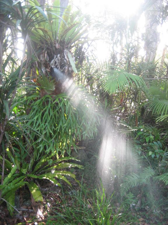 Buddha'S Bungalow Byron Bay Kamer foto